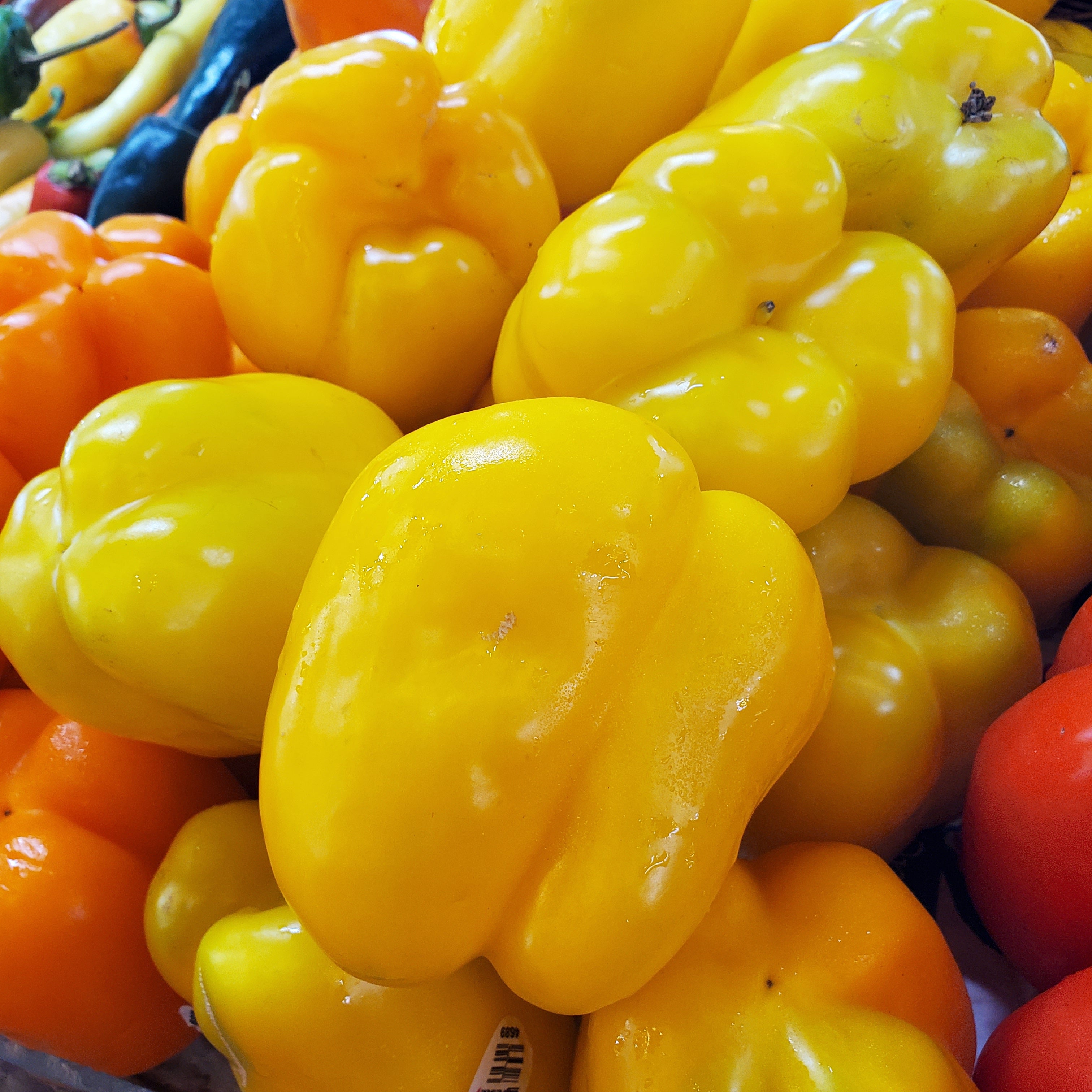 Pepper Bell Yellow