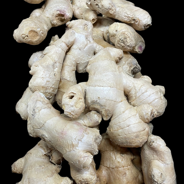 Ginger Root