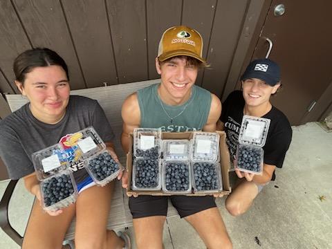 Berries Blueberries