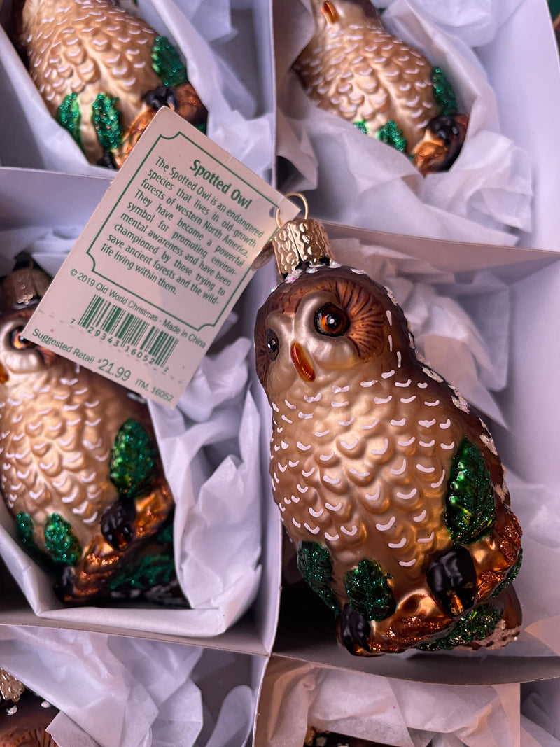 Spotted Owl Old World Christmas Ornament