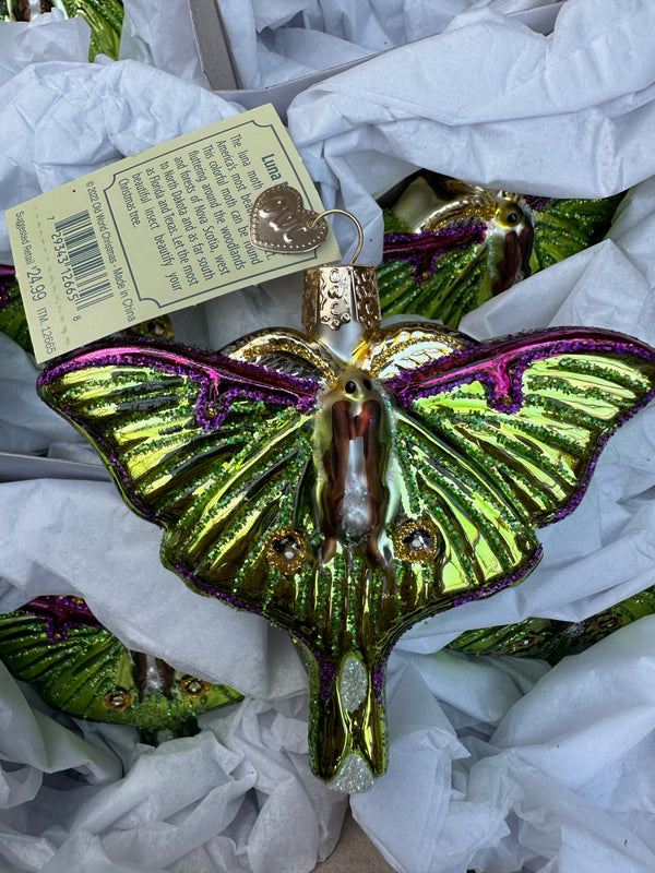 Luna Moth Old World Christmas Ornament