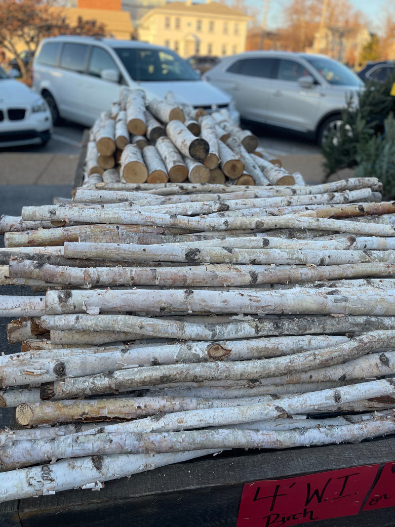 Birch Log  approx 2’ fireplace log