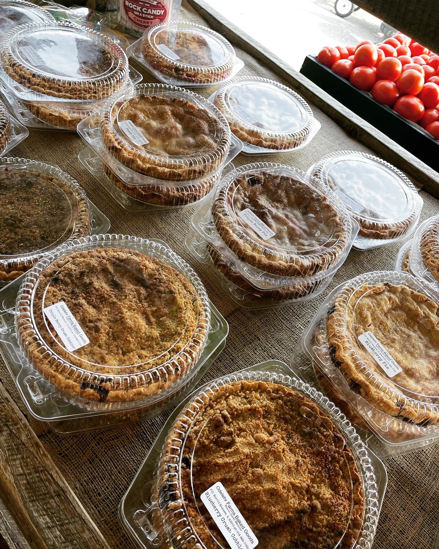 Pies Fruit 9” pan
