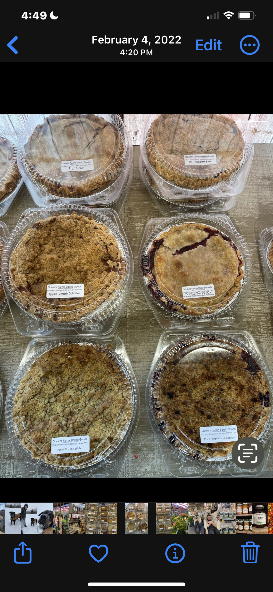 Pies Fruit 9” pan