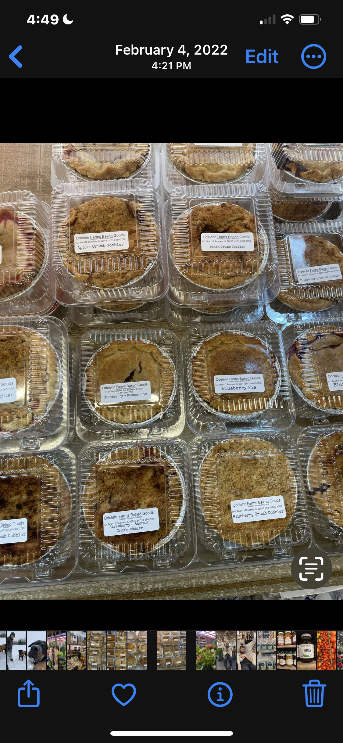 Pies Fruit 6” pan
