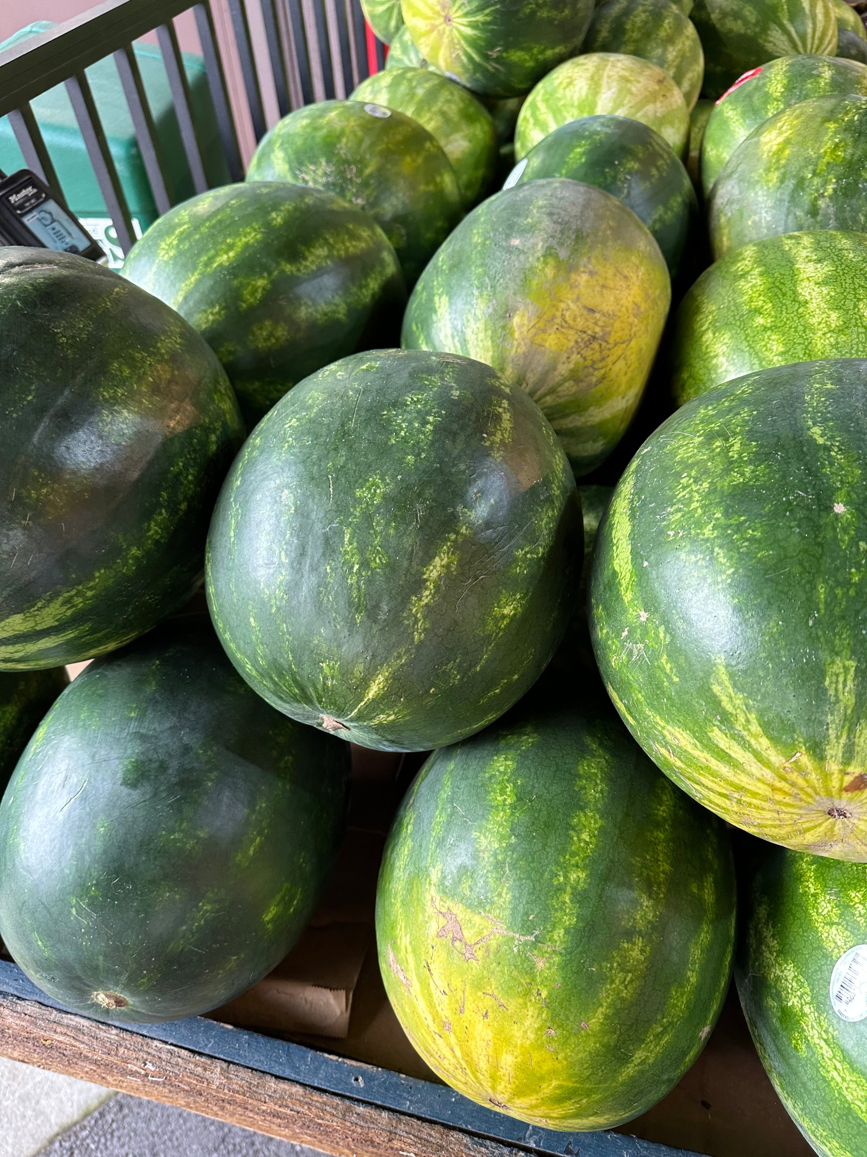 Melon Watermelon Whole Seedless
