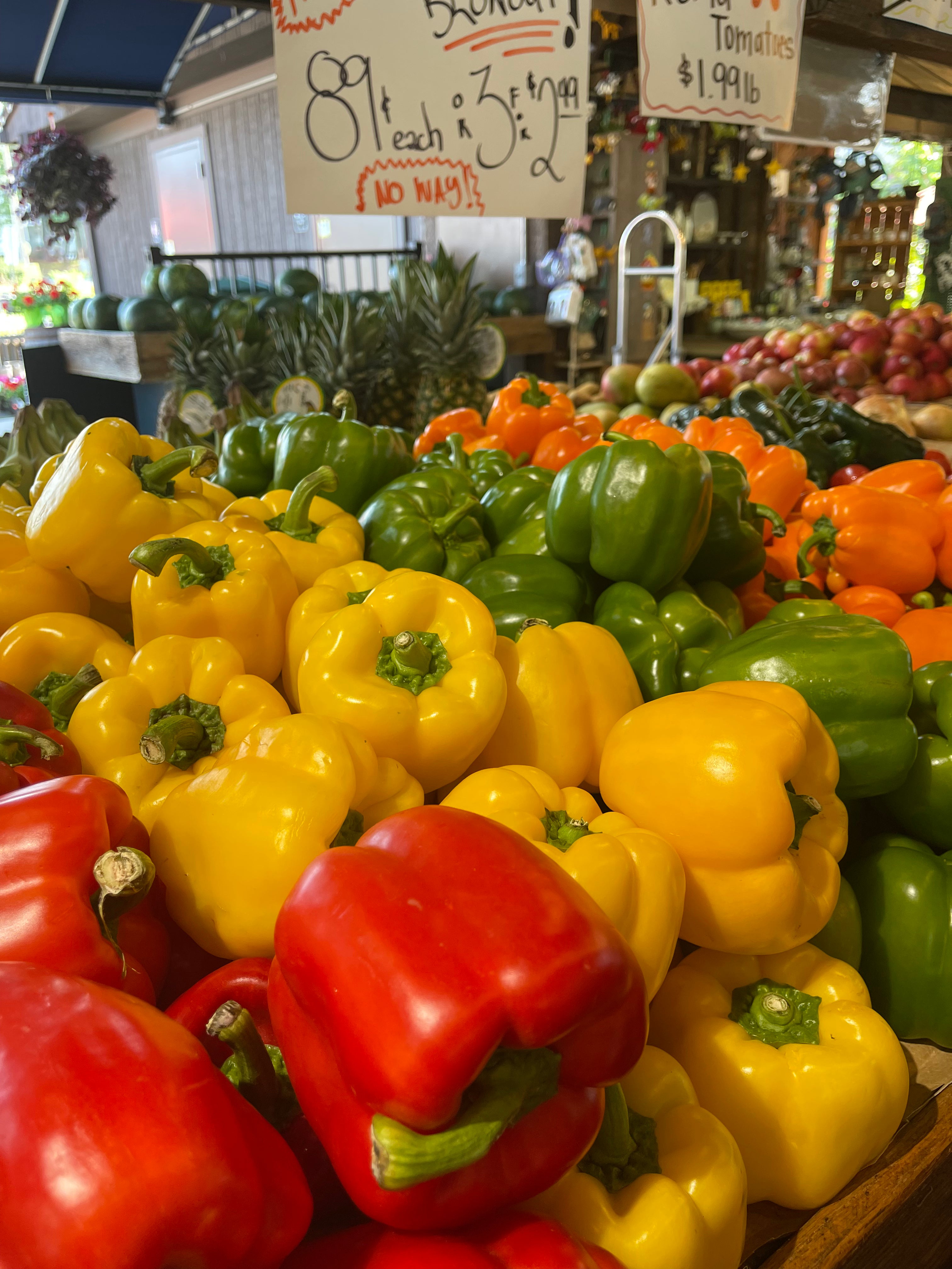 Pepper Bell Orange