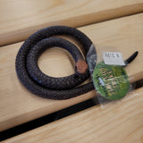 Super Stretchy Snakes