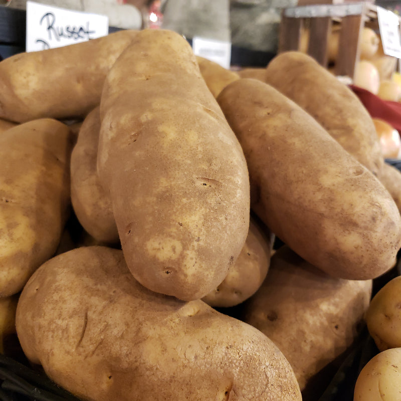 Potato Idaho Baker