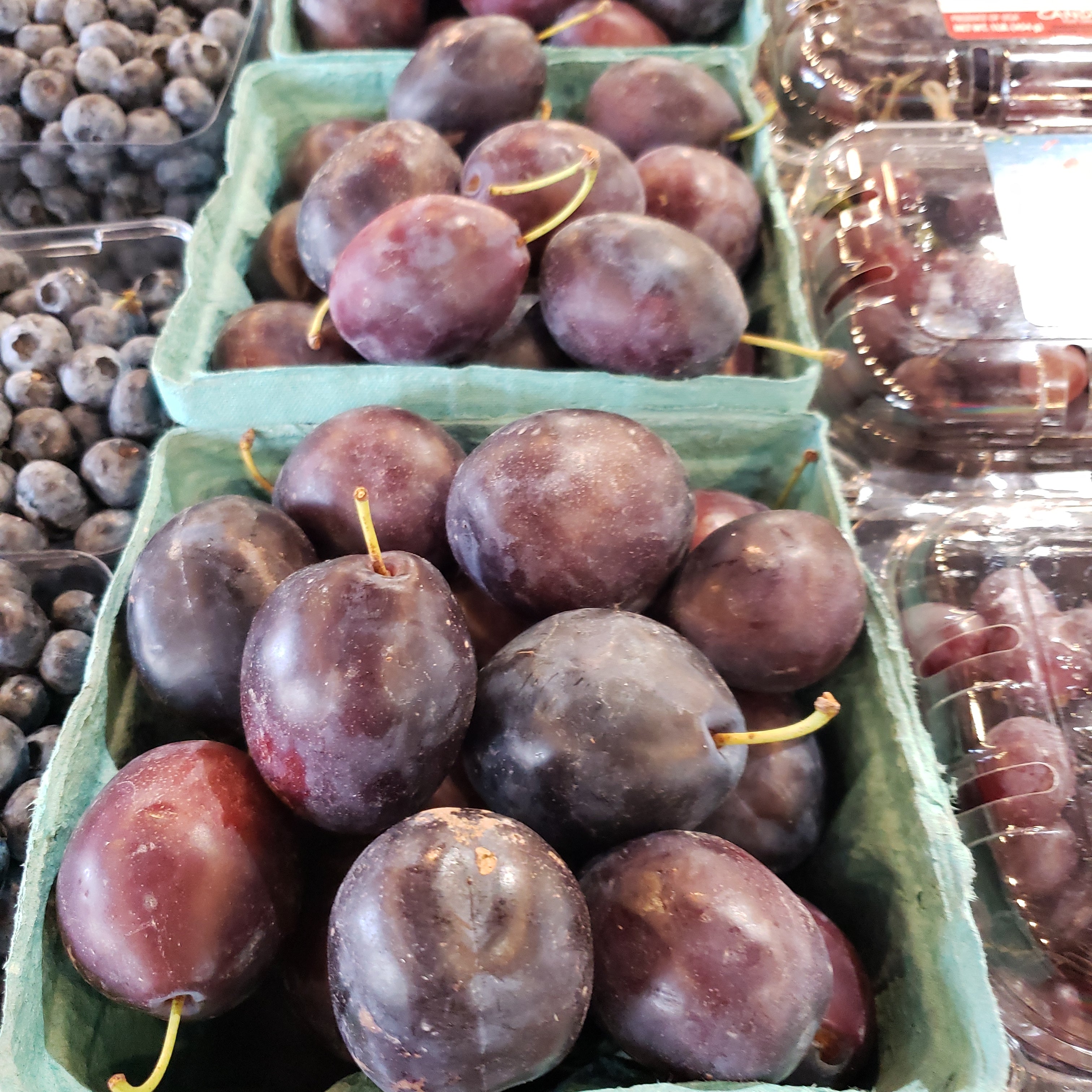 Plums Prune