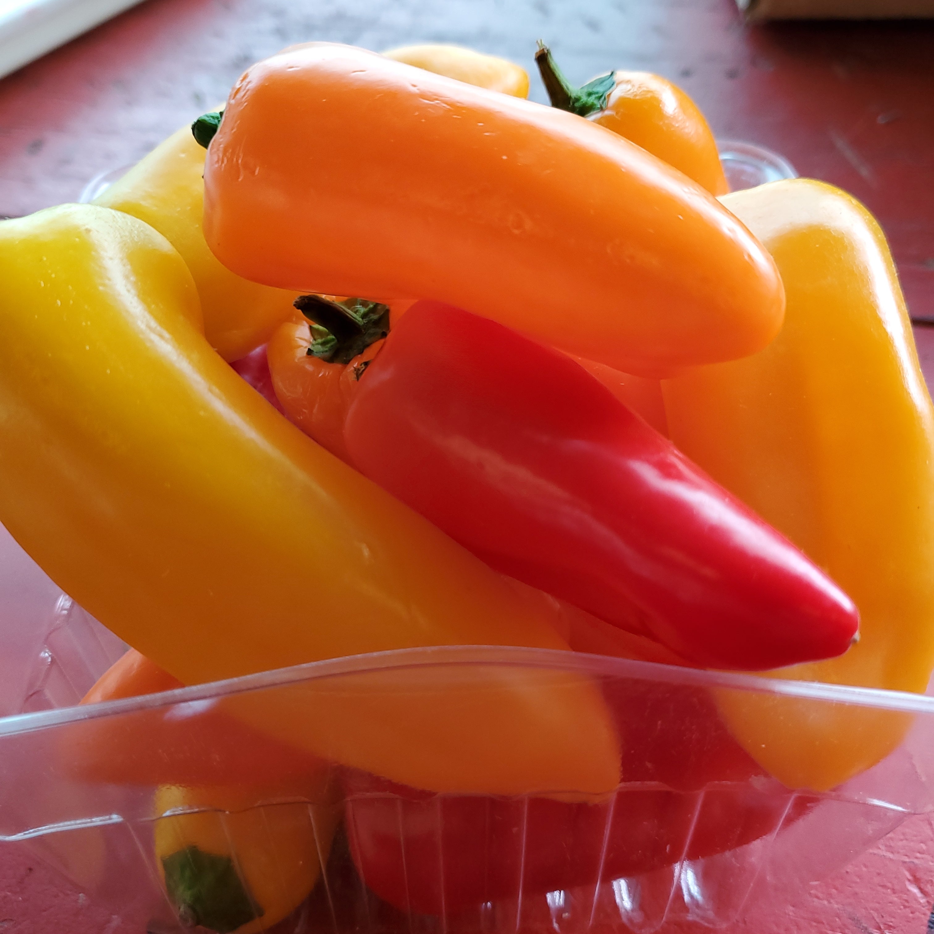 Pepper Jalapeño