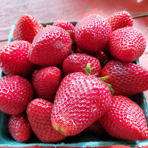 Berries Strawberries 1.5 + lbs
