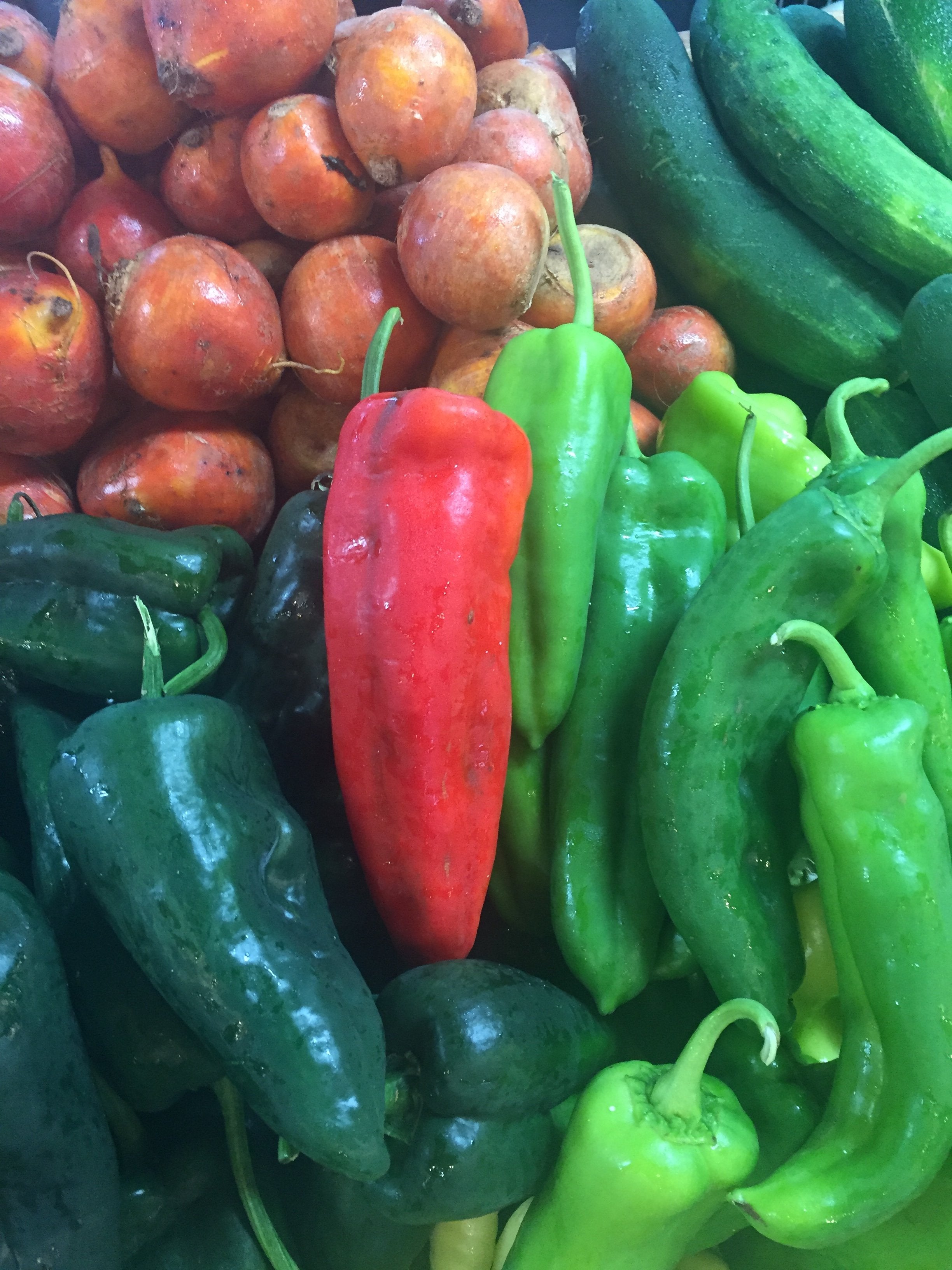 Pepper Jalapeño