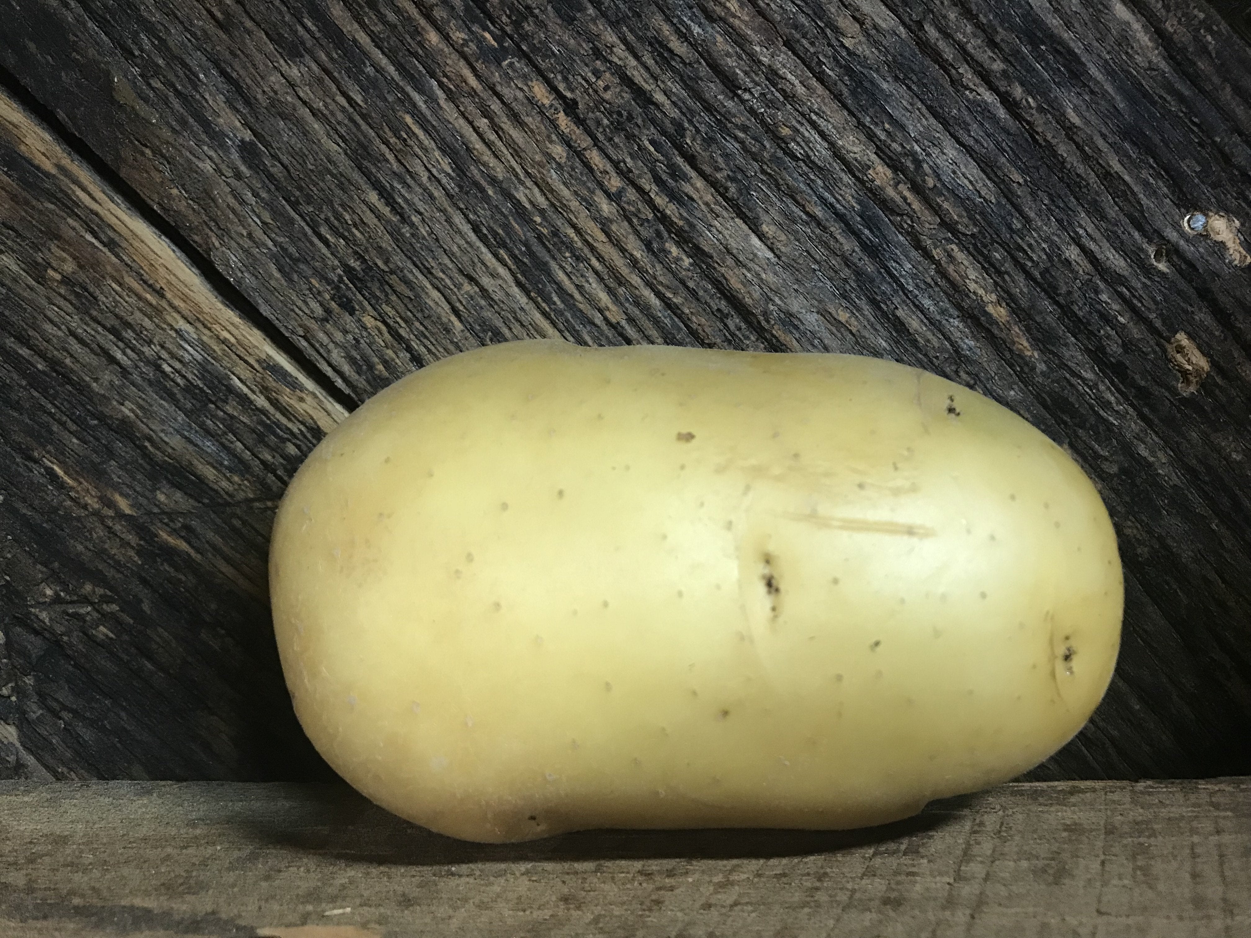 Potato Yukon Gold