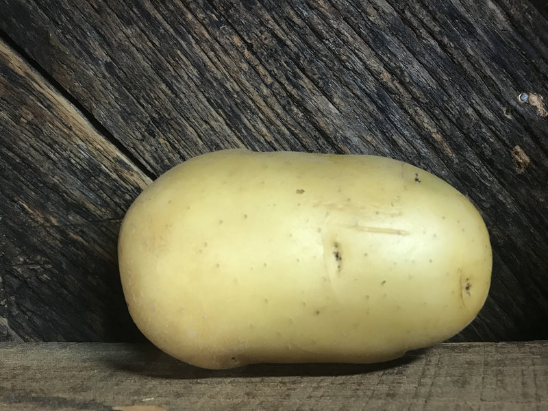 Potato Yukon Gold Baker