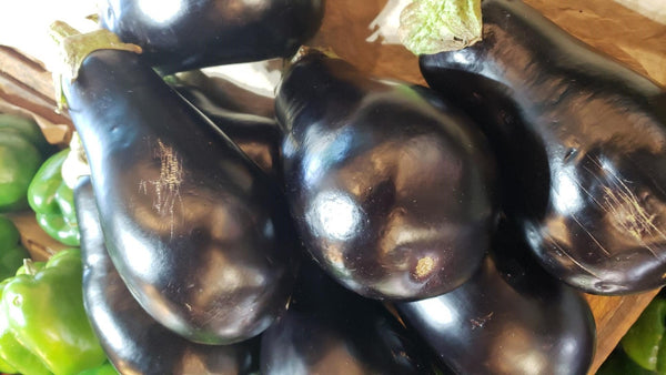 Eggplant Local