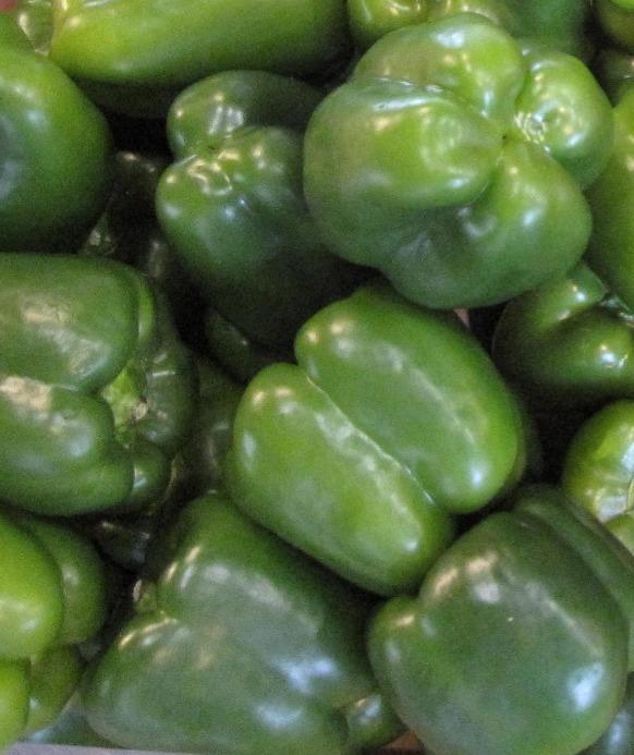 Pepper Bell Green