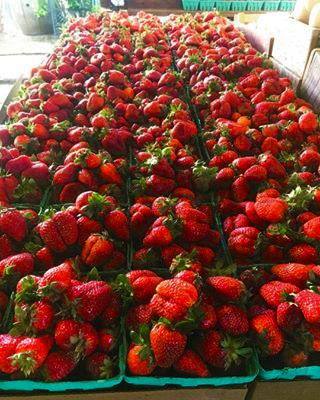 Berries Strawberries Local