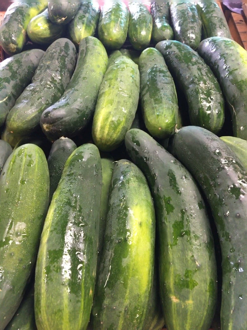 Cucumbers Local