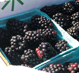 Berries Blackberries Local & Organic