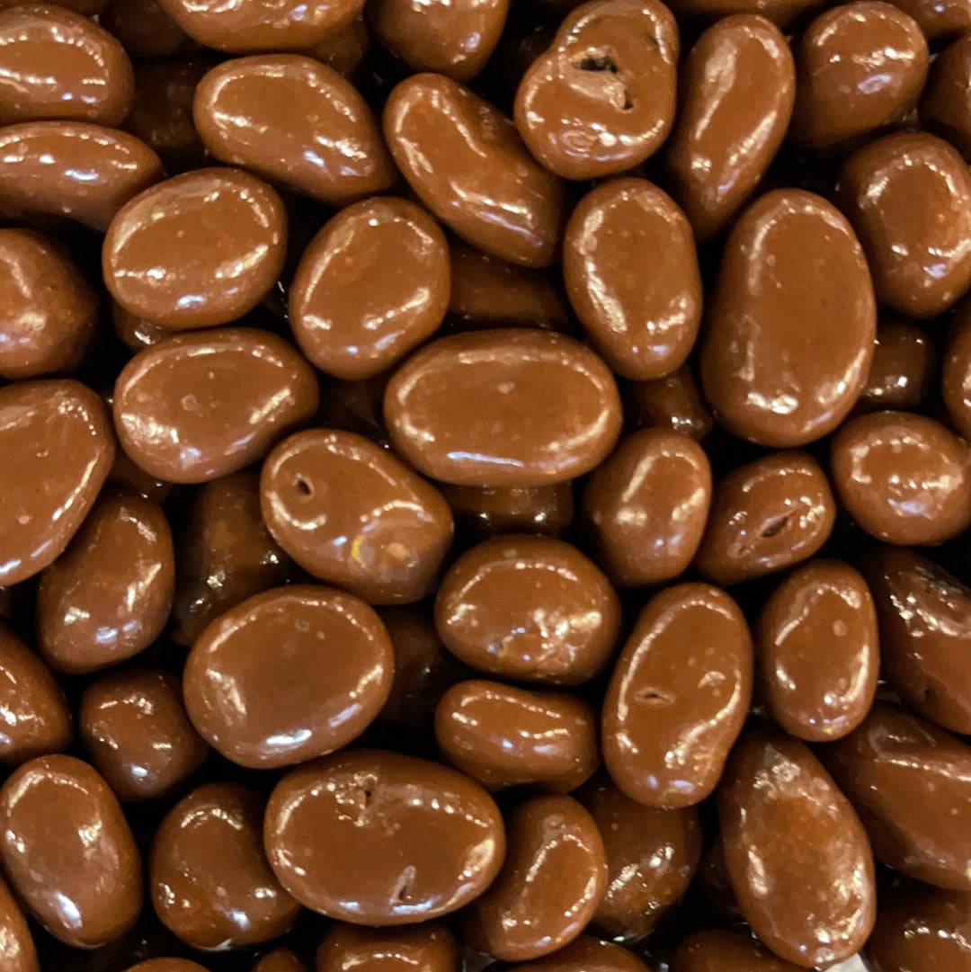 Chocolate Covered Raisins
