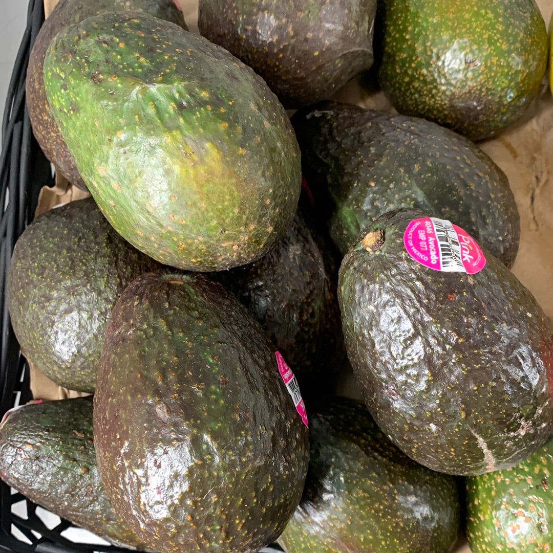 Avocado