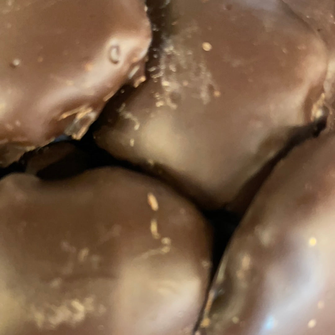 Chocolate Dark Caramel  Pecan Patty