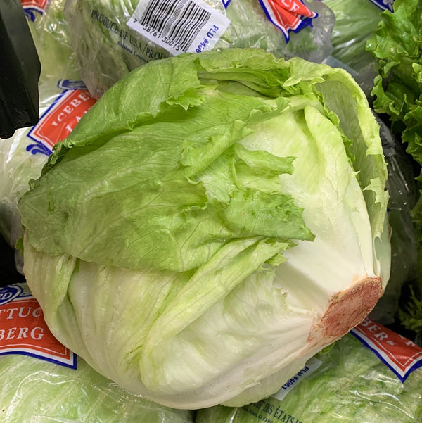 Lettuce Iceberg