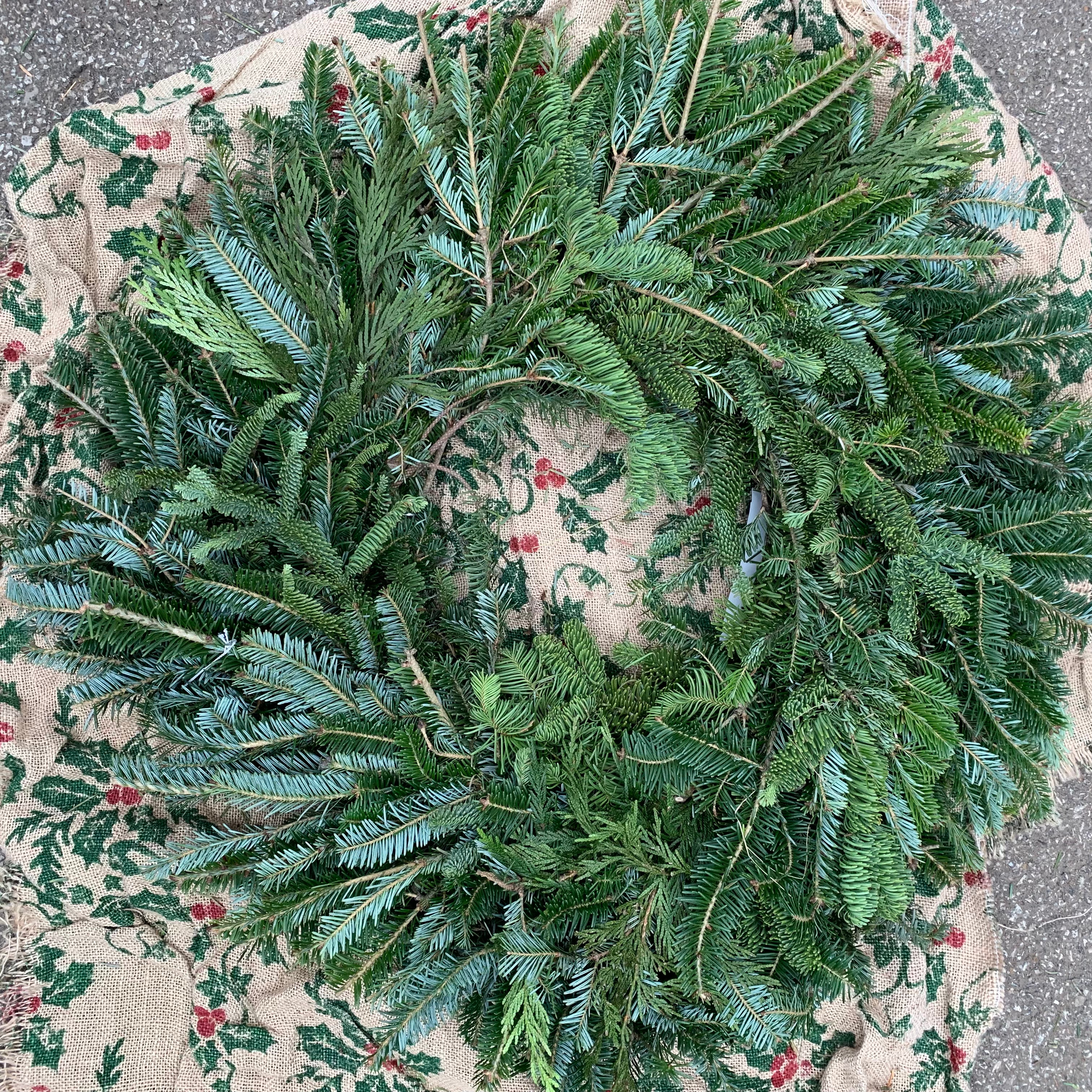 WREATH Fraser Fir