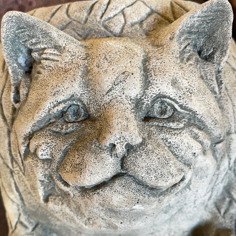 ‘Roly- Poly Cat Campania Concrete Planter