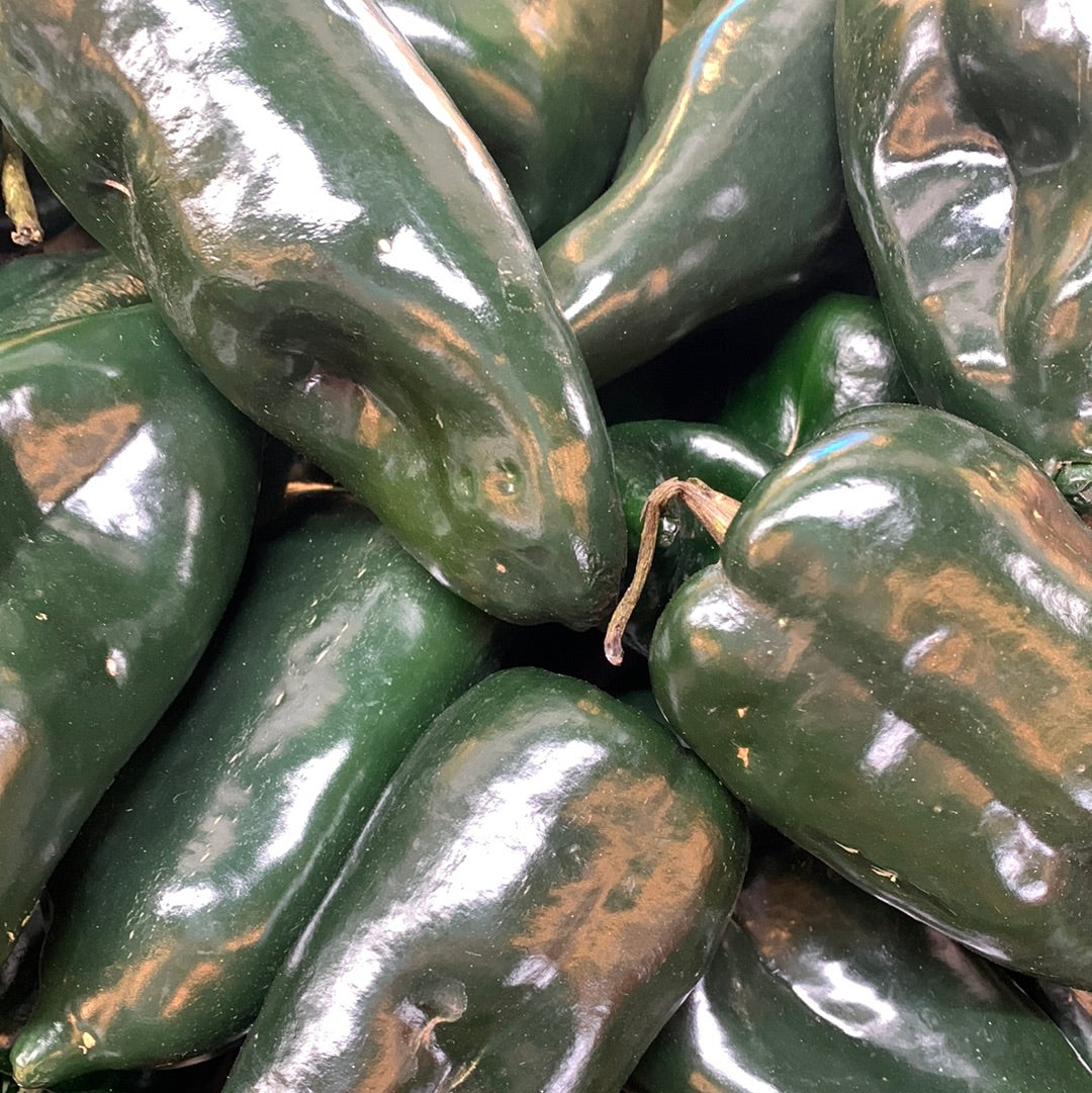 Pepper Jalapeño
