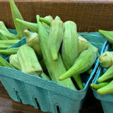 Okra Local