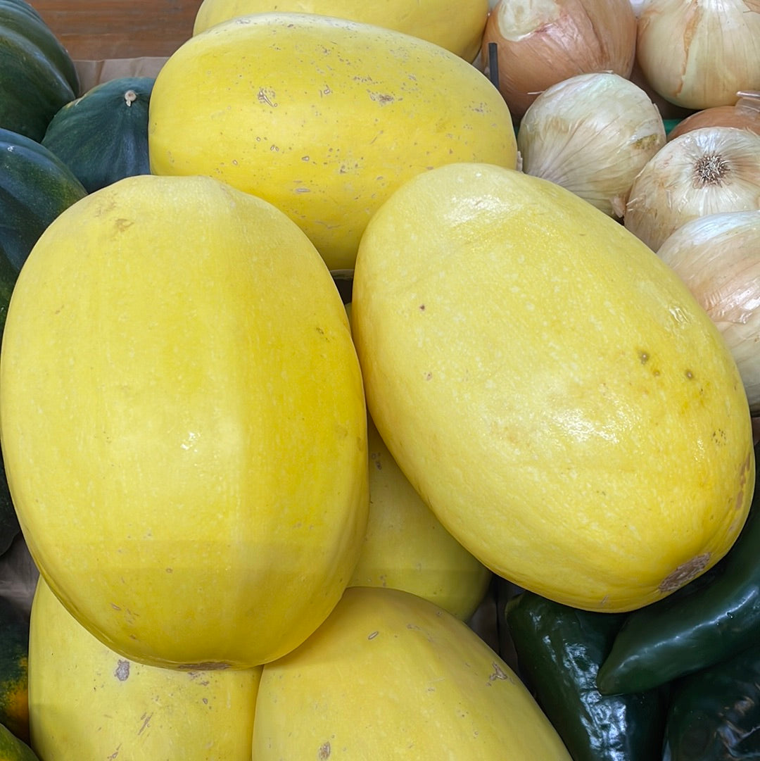 Squash Spaghetti