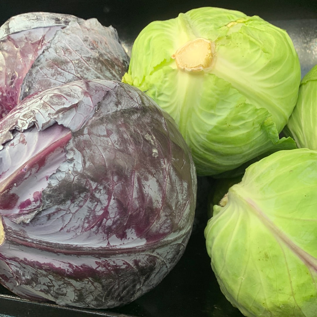 Cabbage Green