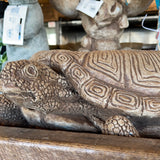 Planter Turtle