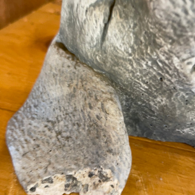 ‘Belly Rubs’ SALE Campania  Garden Statuary