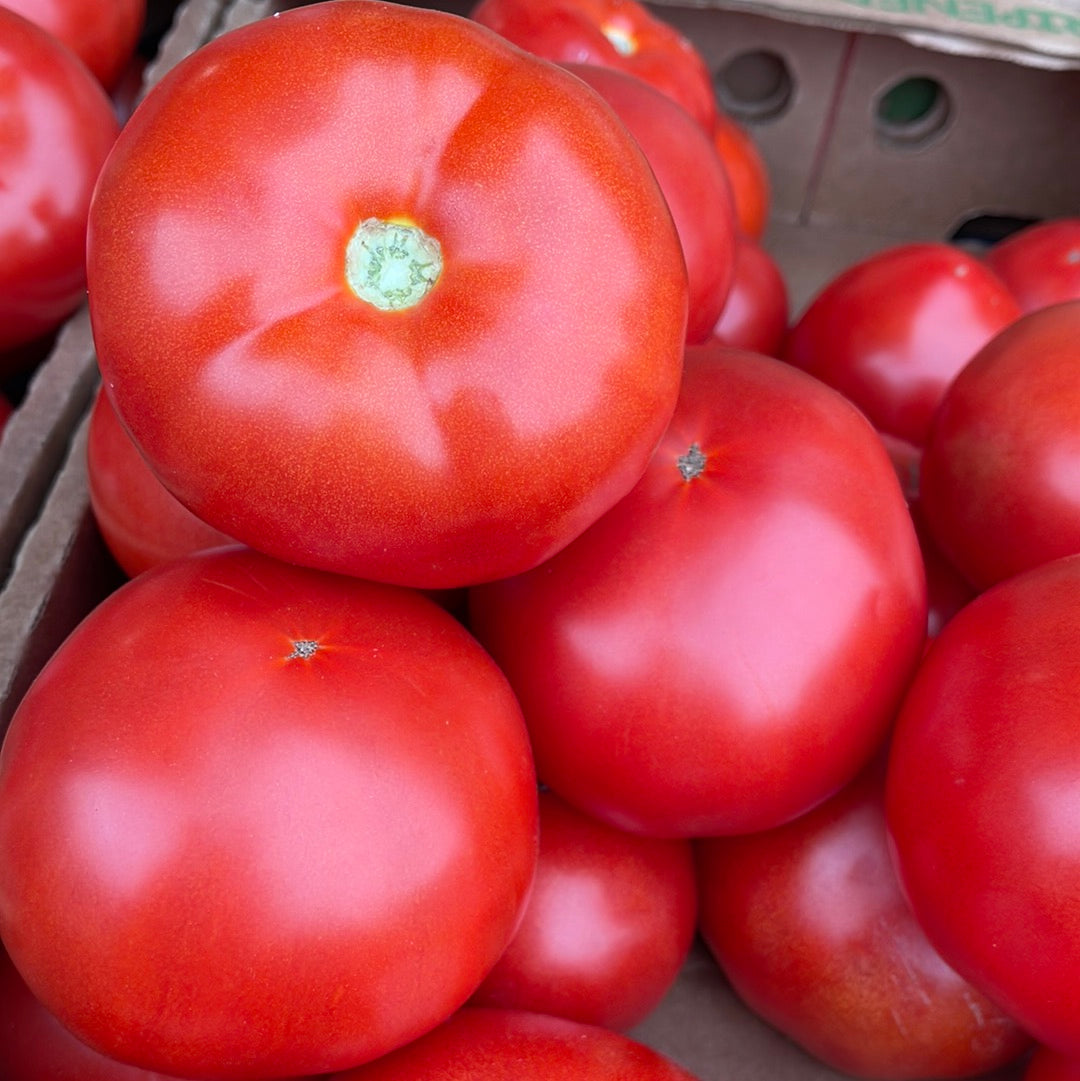 Tomato Red Local