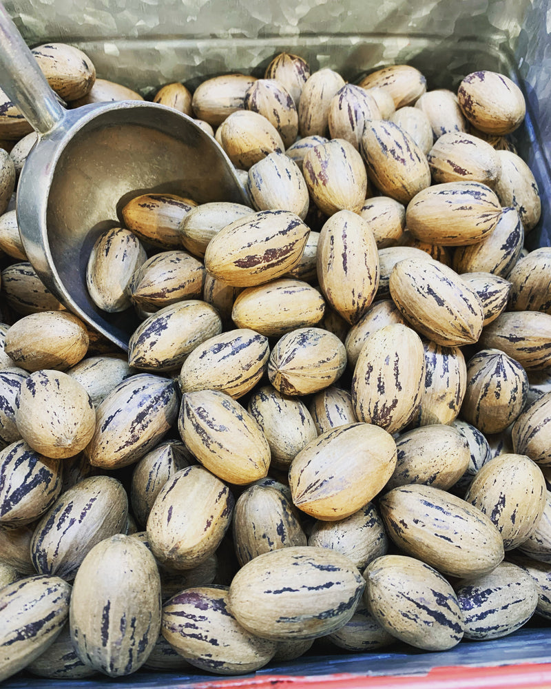 Pecans in Shell Local